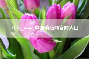 株洲中国消防网官网入口
