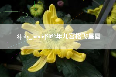 株洲2022年九宫格飞星图