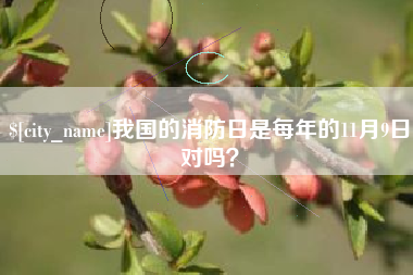 株洲我国的消防日是每年的11月9日对吗？
