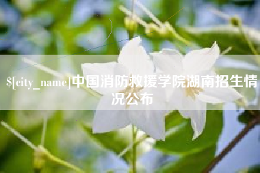 株洲中国消防救援学院湖南招生情况公布