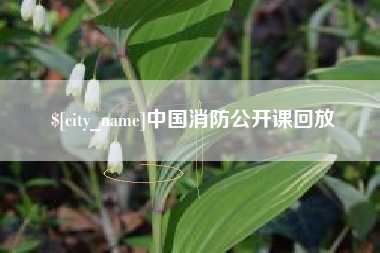 株洲中国消防公开课回放
