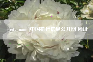 株洲中国执行信息公开网 网址