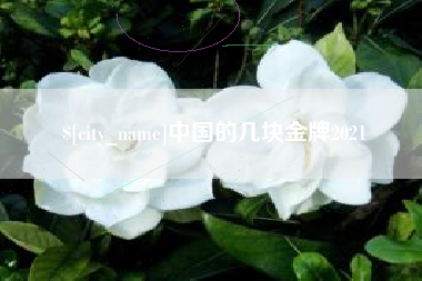 株洲中国的几块金牌2021