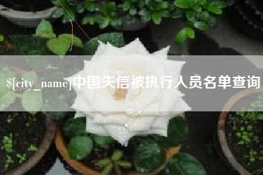 株洲中国失信被执行人员名单查询 株洲中国失信被执行人员名单查询