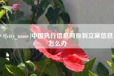 株洲中国执行信息网查到立案信息怎么办
