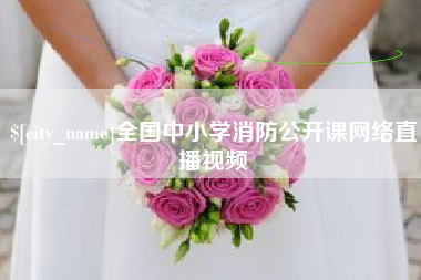 株洲全国中小学消防公开课网络直播视频