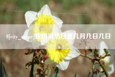 株洲我国消防日是几月几日几日