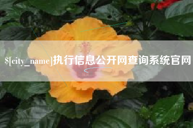 株洲执行信息公开网查询系统官网