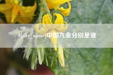 株洲中国九金分别是谁
