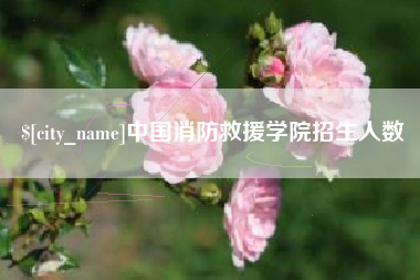株洲中国消防救援学院招生人数