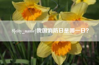 株洲我国消防日是哪一日？
