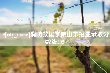 株洲消防救援学院山东招生录取分数线2020