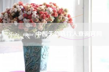 株洲中国失信执行人查询官网