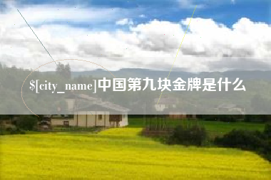 株洲中国第九块金牌是什么