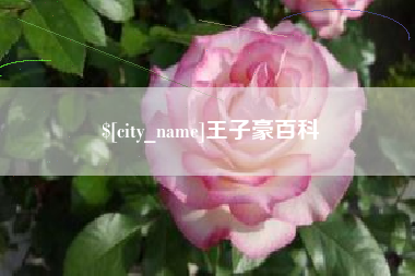 株洲王子豪百科
