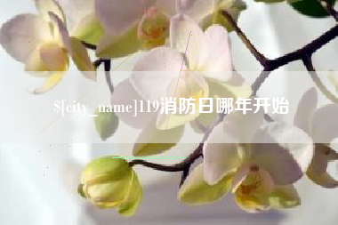 株洲119消防日哪年开始