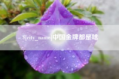 株洲中国金牌都是啥