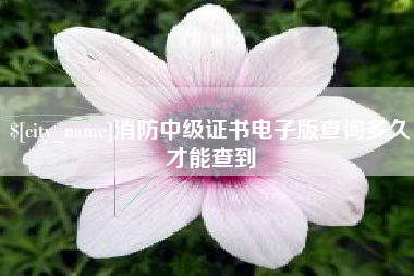 株洲消防中级证书电子版查询多久才能查到