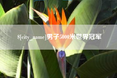 株洲男子5000米世界冠军