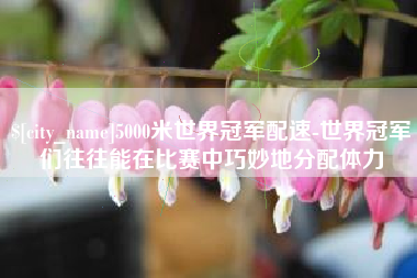 株洲5000米世界冠军配速-世界冠军们往往能在比赛中巧妙地分配体力