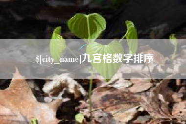 株洲九宫格数字排序