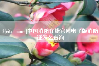 株洲中国消防在线官网电子版消防证怎么查询