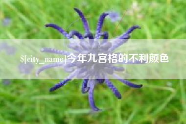 株洲今年九宫格的不利颜色