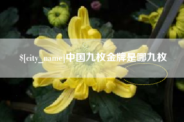 株洲中国九枚金牌是哪九枚