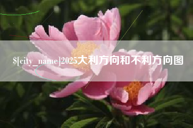 株洲2025大利方向和不利方向图