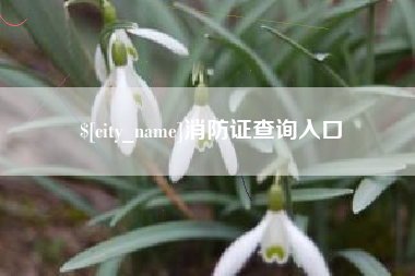 株洲消防证查询入口