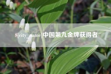 株洲中国第九金牌获得者