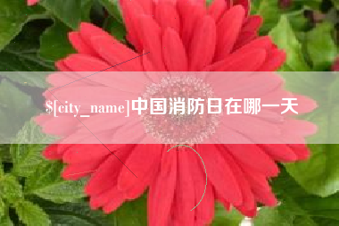 株洲中国消防日在哪一天