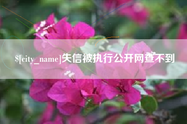 株洲失信被执行公开网查不到