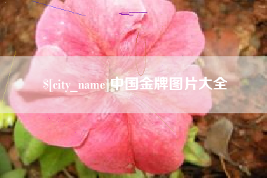 株洲中国金牌图片大全