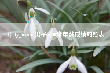 株洲男子5000米年龄成绩对照表