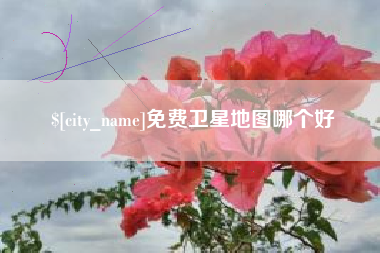 株洲免费卫星地图哪个好