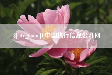 株洲1.中国执行信息公开网