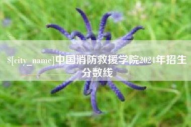 株洲中国消防救援学院2024年招生分数线