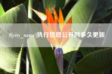 株洲执行信息公开网多久更新