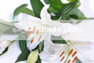 株洲九宫格盘点工具图片