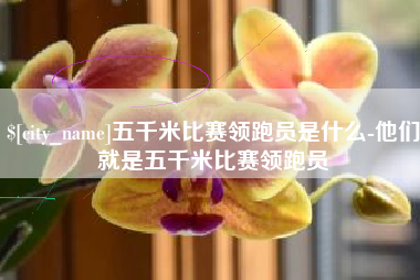 株洲五千米比赛领跑员是什么-他们就是五千米比赛领跑员