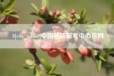 株洲中国消防报考中心官网