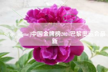 株洲中国金牌榜2024巴黎奥运会最新