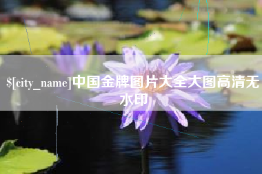 株洲中国金牌图片大全大图高清无水印