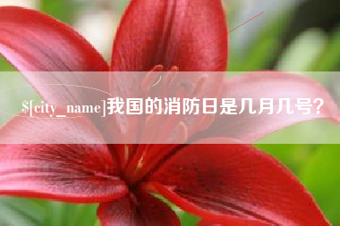 株洲我国的消防日是几月几号？