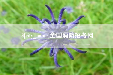 株洲全国消防招考网