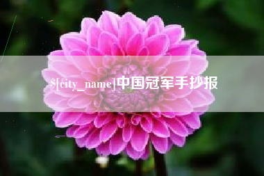 株洲中国冠军手抄报