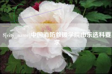株洲中国消防救援学院山东选科要求