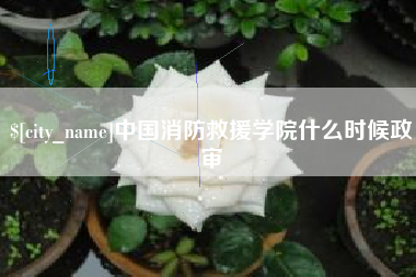 株洲中国消防救援学院什么时候政审