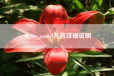 株洲九宫详细说明
